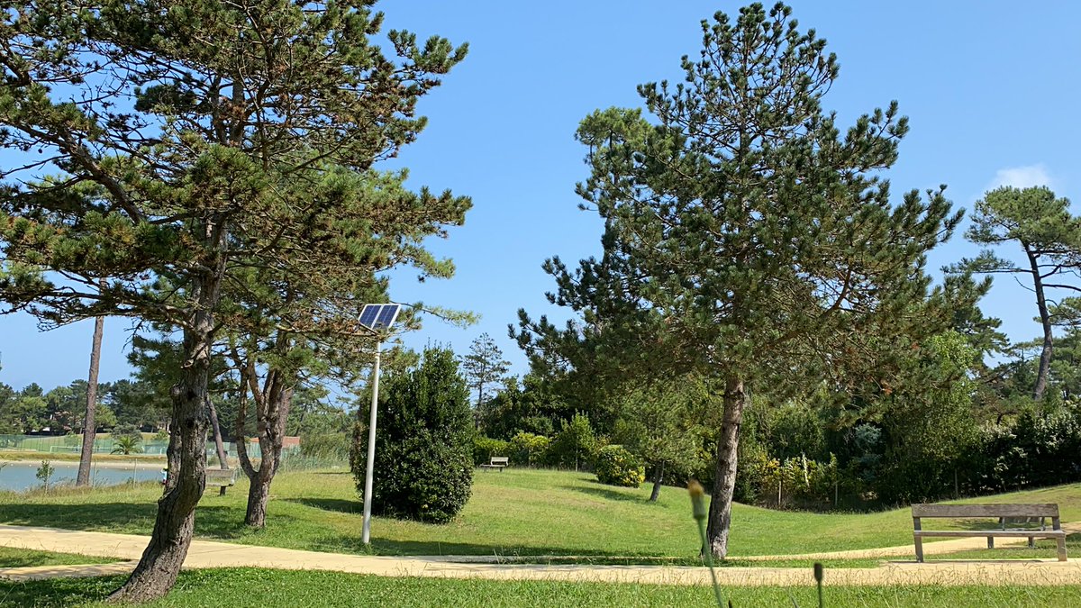 <a href="/lemebru/">Bruna Leme</a> <a href="/AGRICENLIFER/">Stephen Sexton</a> @JoeScienceLPI <a href="/nicovayu/">Nico V.</a> <a href="/johnrgriffin12/">Nacho Libre</a> <a href="/Haydenhollis88/">Hayden Hollis</a> <a href="/Shelby_LaRose01/">Shelby LaRose</a> <a href="/RmeadMead/">Richard Mead</a> <a href="/LovelandCDN/">Loveland Products Canada</a> <a href="/growloveland/">Loveland Products</a> <a href="/NutrienUruguay/">nutrien.uy 🇺🇾</a> SO francia - Pais Vasco 12.00