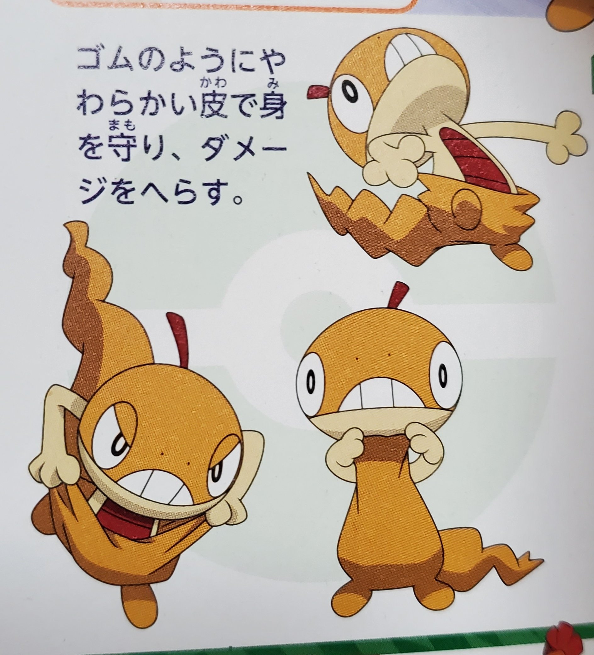 P スプレー使い 依頼募集中 在 Twitter 上 ポケモン図鑑買ってみたけど ズルズキンとズルッグ可愛いわ T Co Nd3s0h0syl Twitter