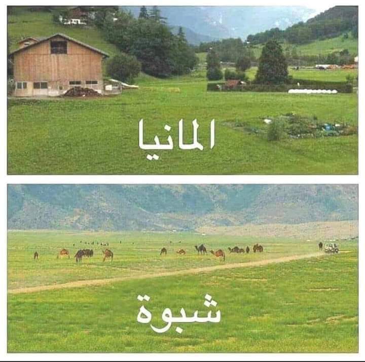 ثمة تشابه بين الصورتين
#المانيا ♥️
 #شبوه🌹