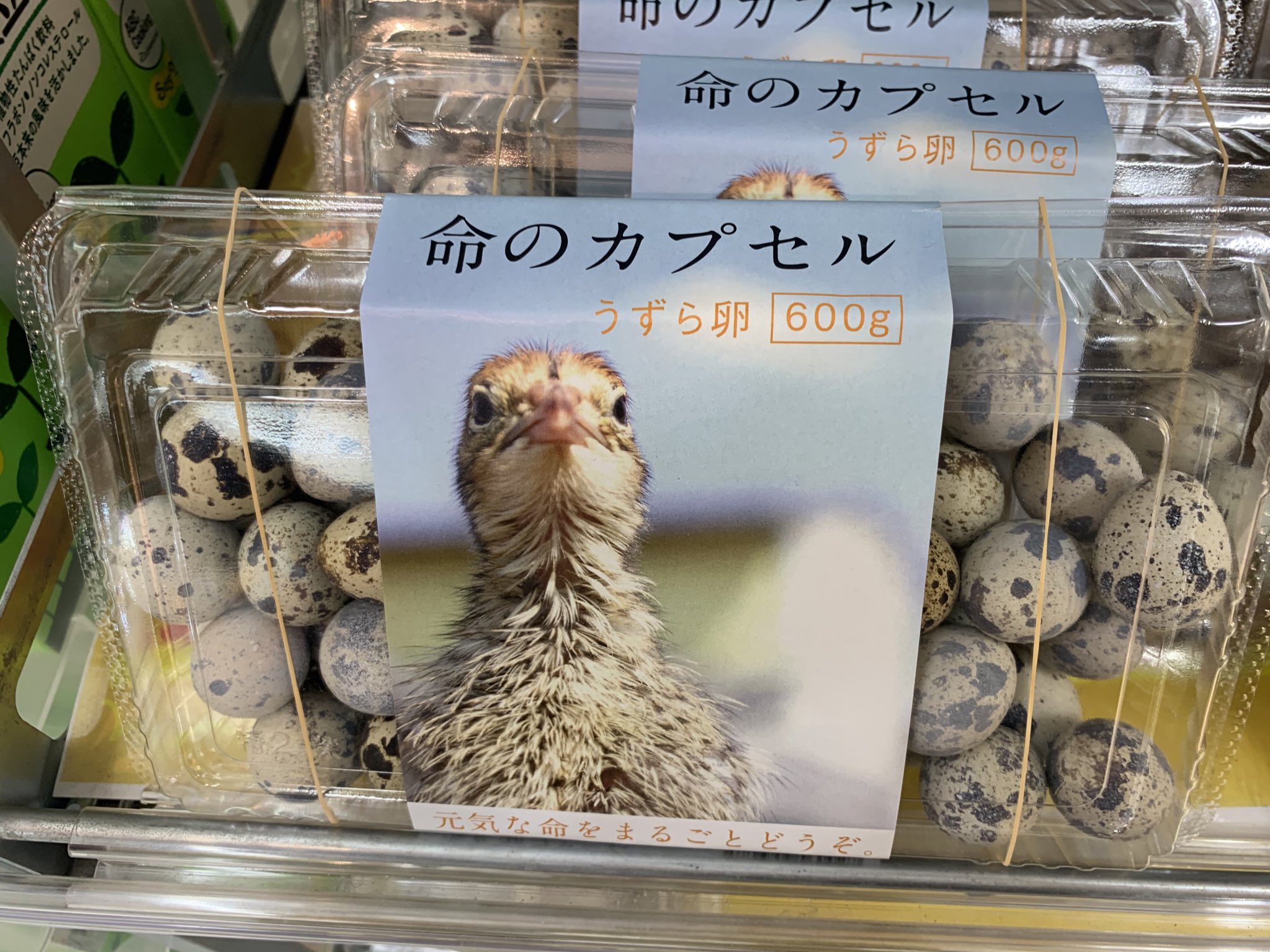 これは食べにくい うずらの卵の食品名が 命のカプセル 話題の画像プラス