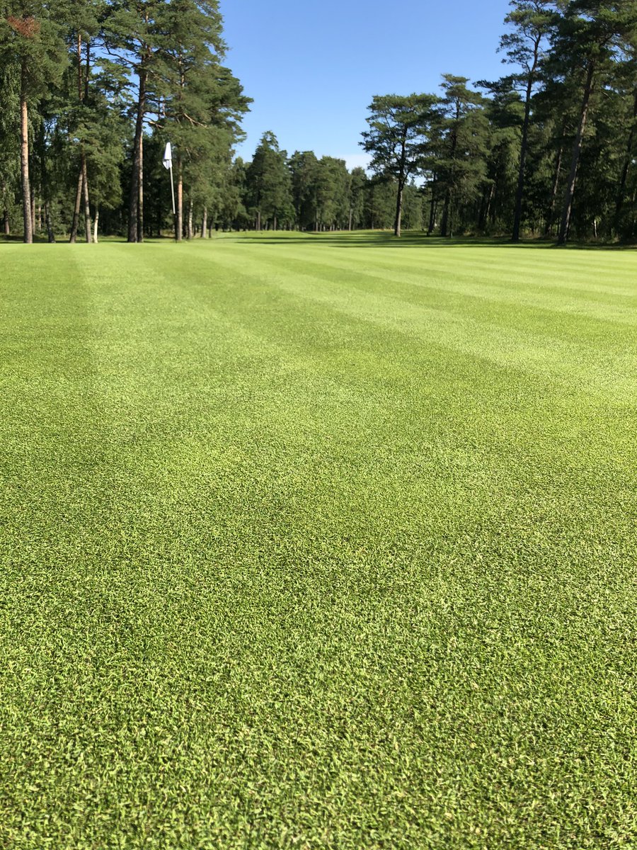 Like a dream☀️☀️