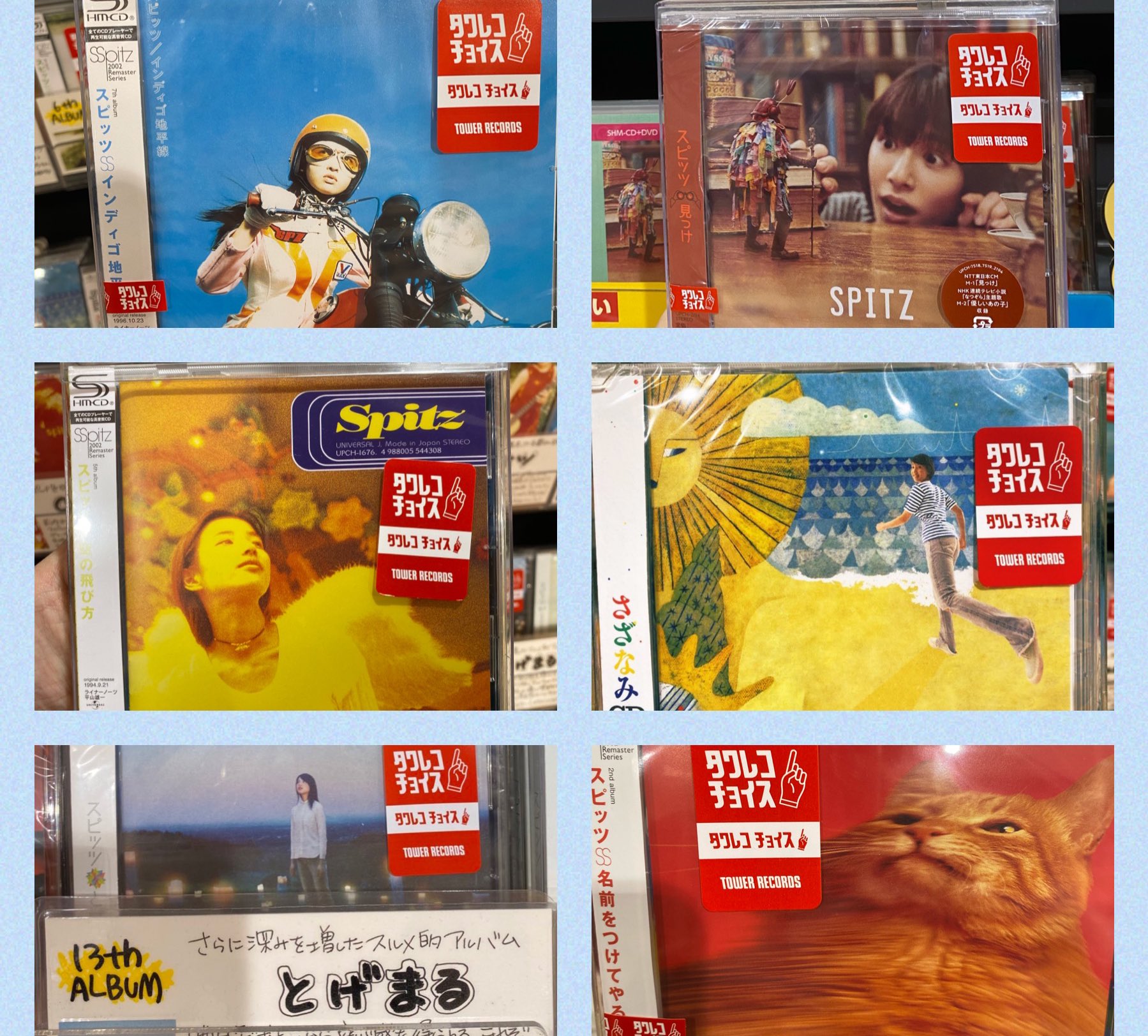 タワーレコードアミュプラザ博多店 スピッツ 今日8 7は 花の日 でス 花 がタイトルに付いた曲といえば 花の写真 花と虫 花泥棒 ヘチマの花 胸に咲いた黄色い花 砂漠の花 バラード アップテンポなナンバー そしてパンク