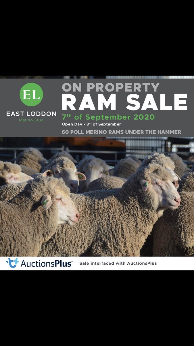 Marcus Hooke tweet media