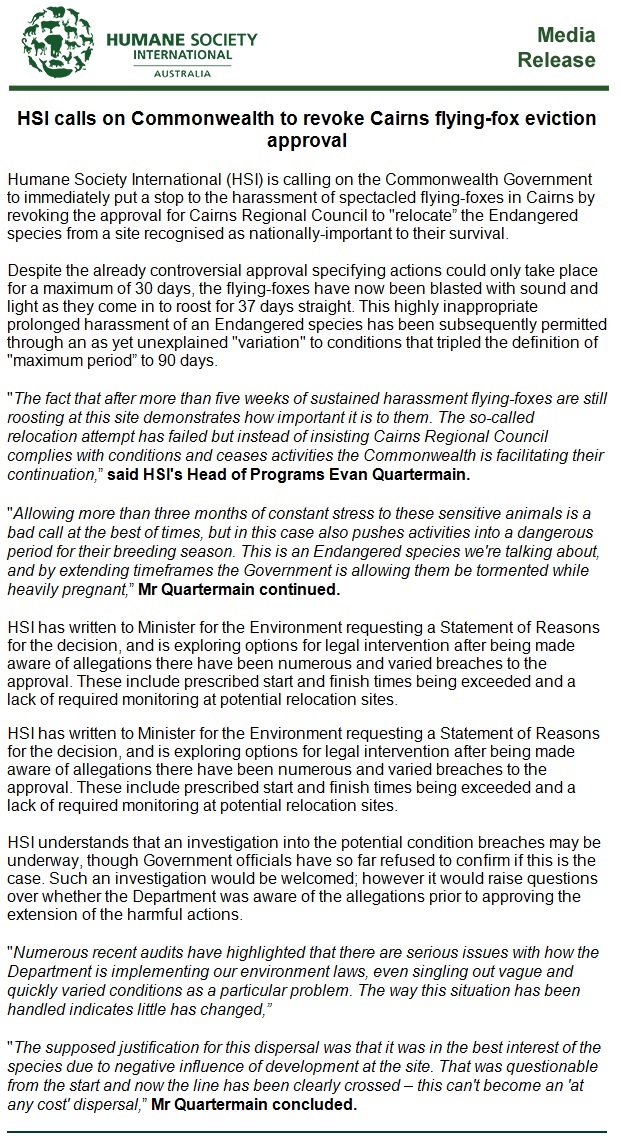 EvanQuartermain's tweet image. The already contentious Cairns spectacled flying-fox dispersal is now even more so. After the max 30 days of harassment bats are still trying to roost - instead of @cairnscouncil ceasing action as per conditions, an amendment has been waved through that triples that time-frame...