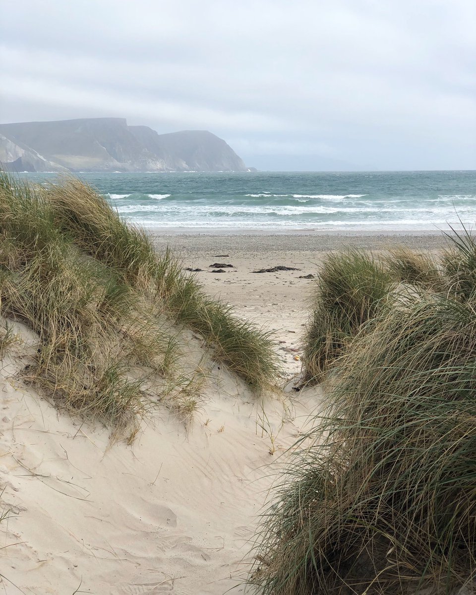 Top Drawer & Pantry tweet media