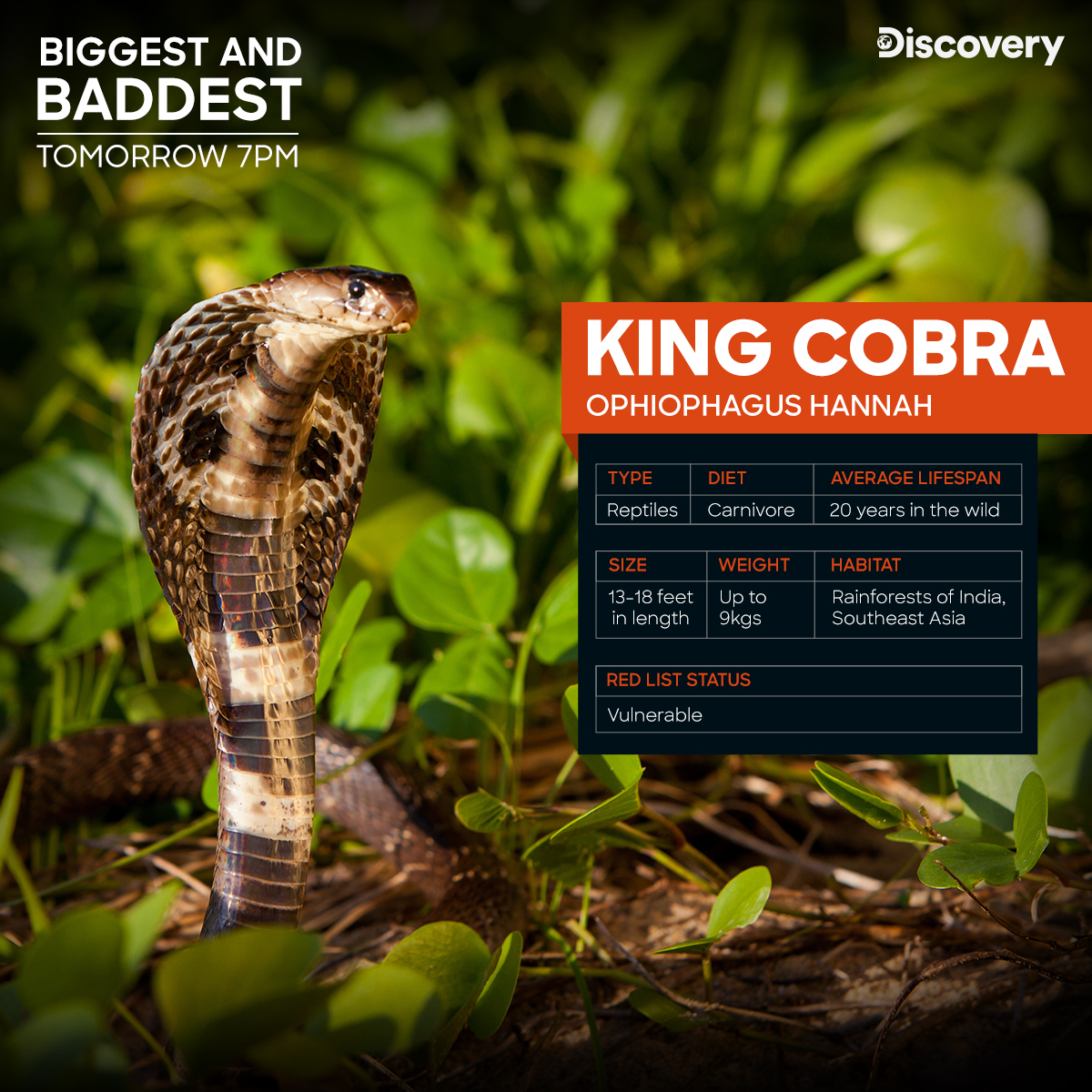 Discovery Channel India sur Twitter : 