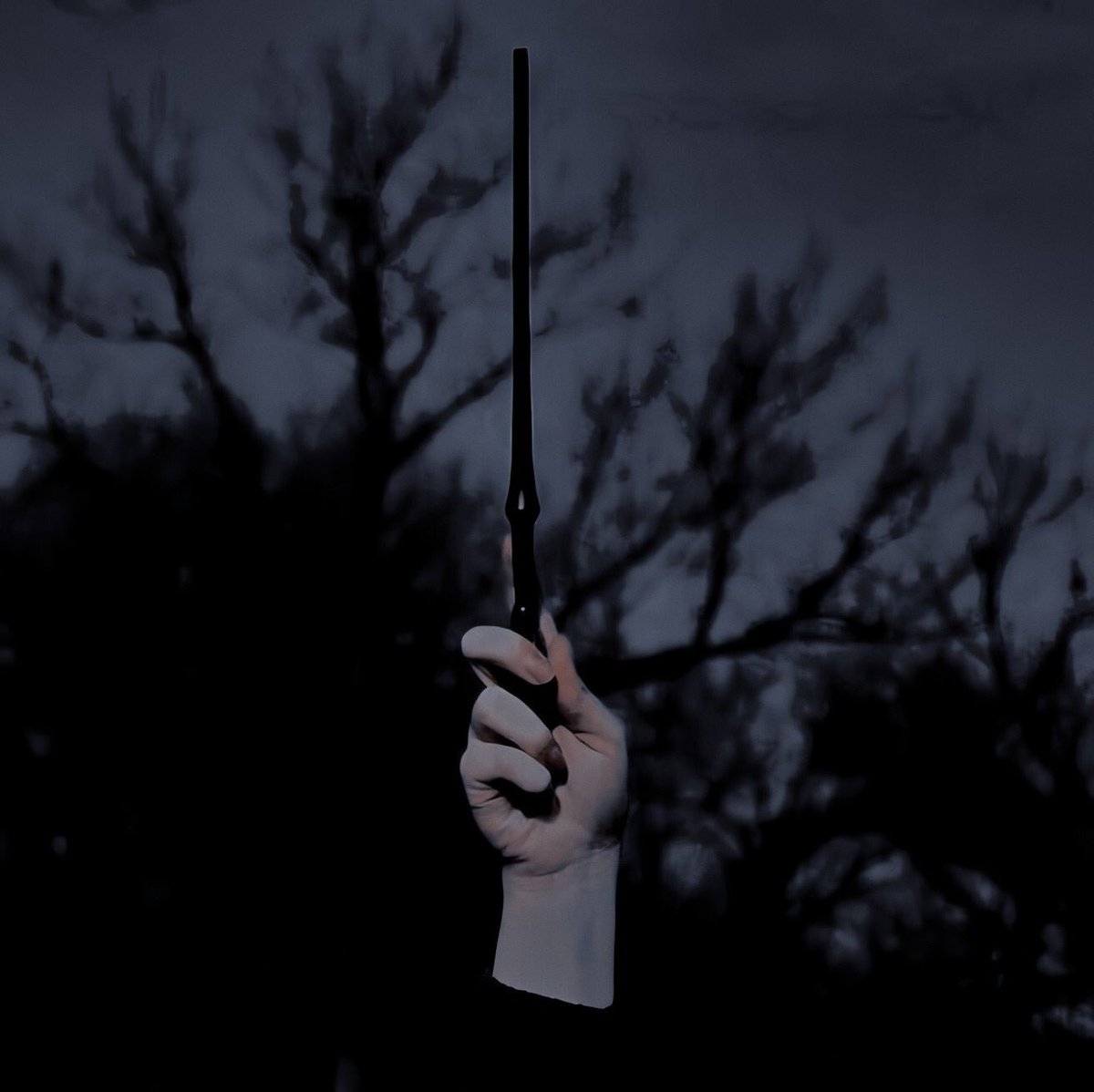 katb0om's tweet photo. 𝗪𝗔𝗡𝗗𝗦 | DRARRY AU

En un mundo donde las varitas son igual de leales tanto como para el mago que ella eligió como para el alma gemela de este, Harry se da cuenta que venció al Señor Tenebroso con ayuda de la varita de Draco. https://t.co/Sv775WXG2A