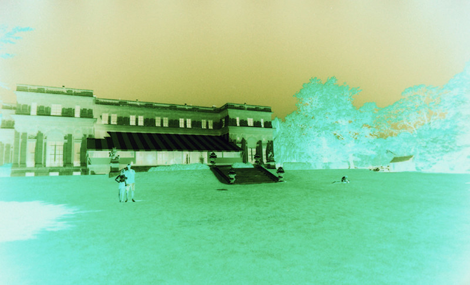 On the left is a REAL color infrared image.Look what happens when I invert the colors.