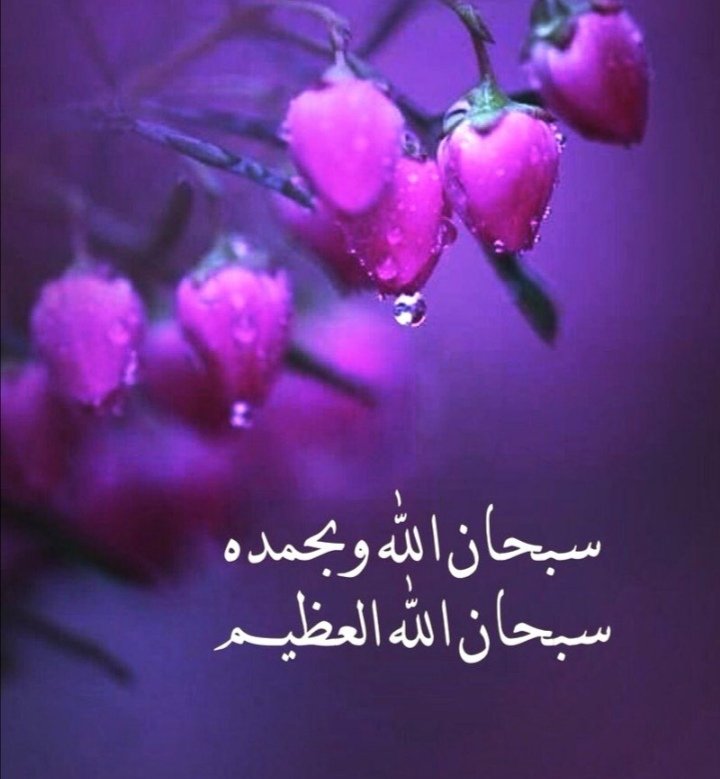 سبحان الله وبحمده
سبحان الله العظيم
#الوافي_رند_للتبادل