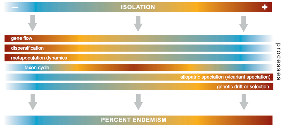 Isolation is not as simple as it seems. A system is not simply in "a state of being isolated", but its isolation represents a continuum of different processes that interact with species traits and have varied in space and time. Endemism is the result of all this mix together.