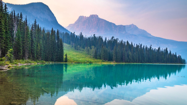 'HPE and SAP to partner to deliver SAP HANA® Enterprise Cloud with <a href="/HPE_GreenLake/">GreenLake</a> #cloud services' by HPE's Keith White dy.si/5F3QA