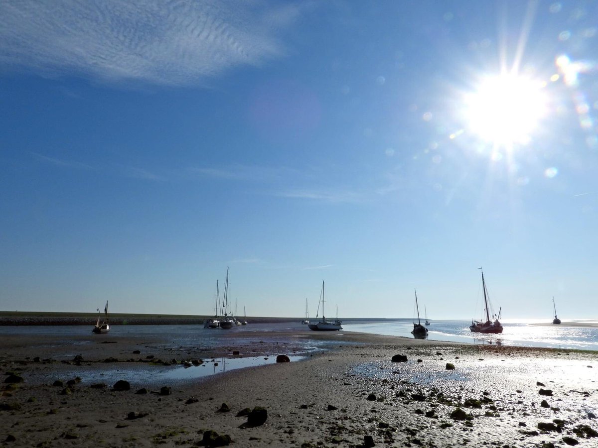Janboelens43's tweet photo. Goeiemorgen,het begint al aardig warm te worden op Ameland. https://t.co/azYvbGTZZc