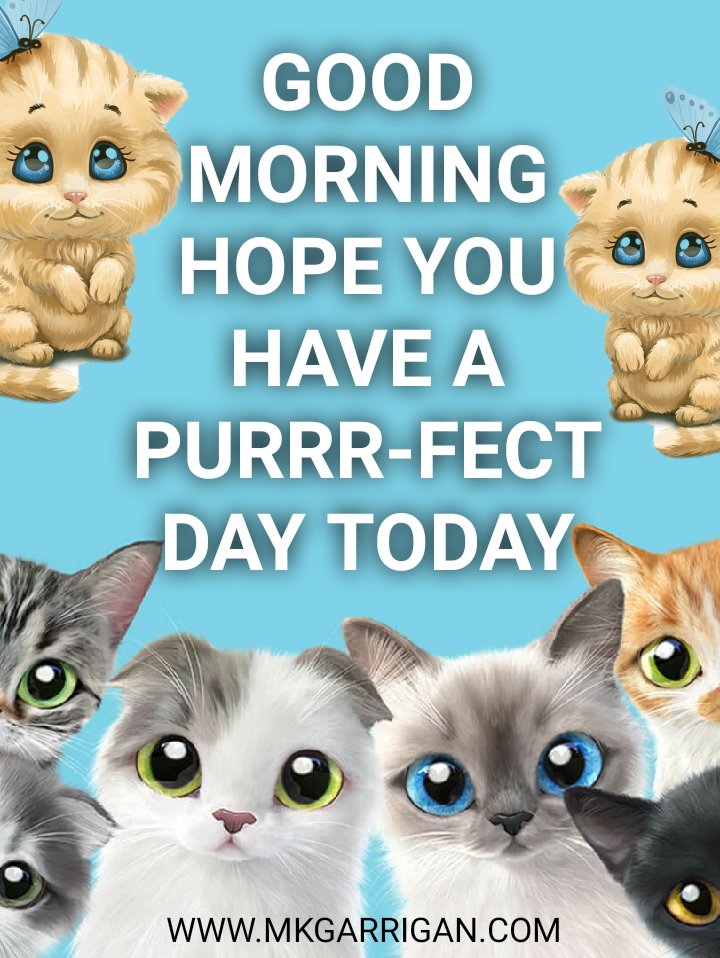 handmade_mk's tweet image. GOOD MORNING HOPE YOU HAVE A PURR-FECT DAY TODAY