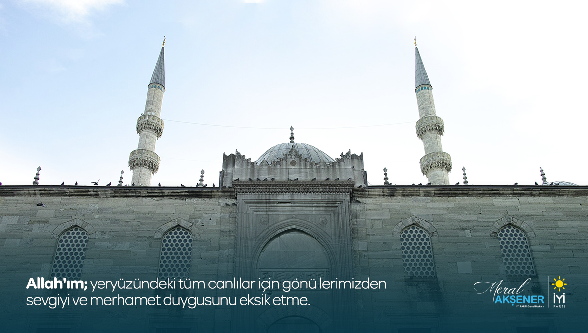 Allah'ım; 

Yeryüzündeki tüm canlılar için, gönüllerimizden sevgiyi ve merhamet duygusunu eksik etme.

#HayırlıCumalar