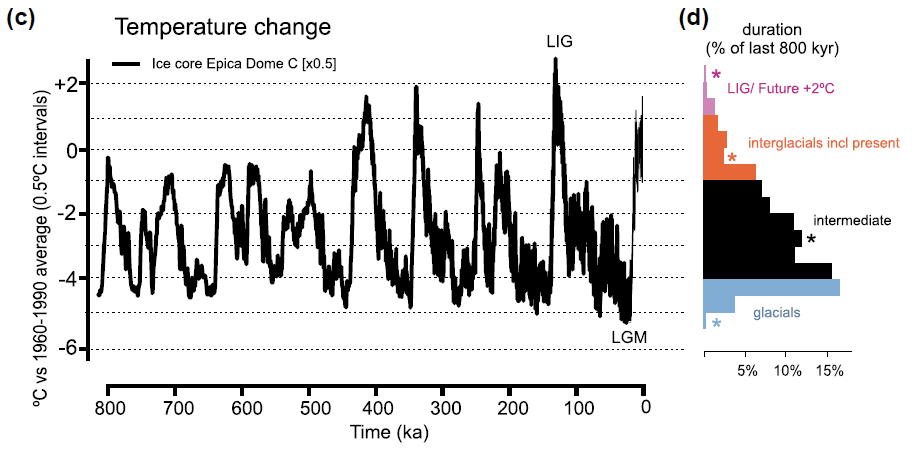 For "mountain islands" (sky islands, alpine islands, habitat islands in mountains) changes have been equally substantial due to global temperature fluctuations. Extreme temperature were super rare and short lasting. Many shifts at intermediate levels were the rule!