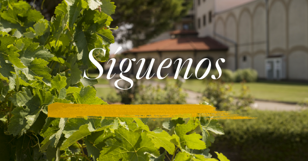 🍷Sorteos y concursos
🍷Promociones exclusivas
🍷Ser el primero en enterarte de todas nuestras novedades
¿Necesitas más motivos para seguirnos en Instagram? 😉
👉 instagram.com/faustinobodega…