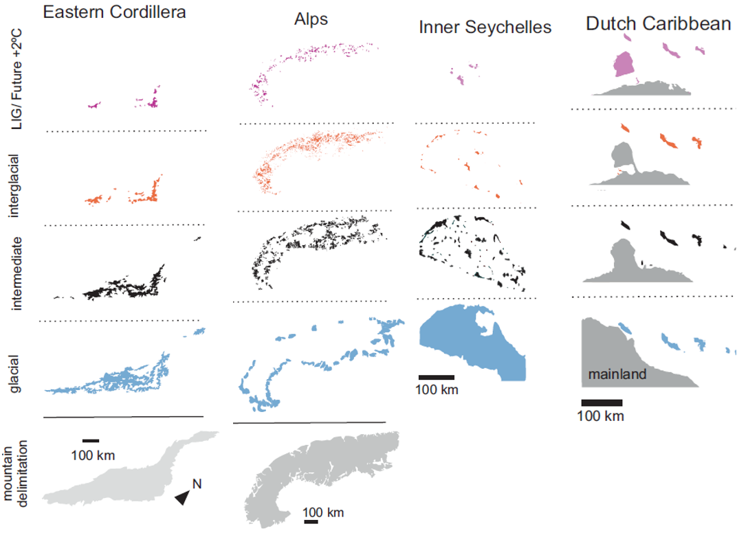 These sea level and temperature fluctuations caused changes in the spatial configuration of true islands and mountain islands, thus resulting in variable isolation through time.