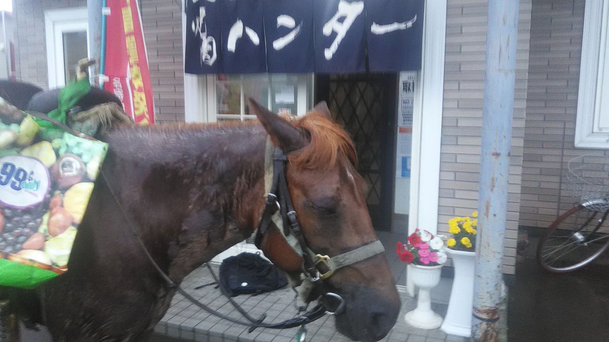 コミ小峰 ちなみに馬は軽車両 車道左側通行が基本 道中 糞をした場合には 鞍にかけている袋でちり取りを使って回収 たい肥として活用しています