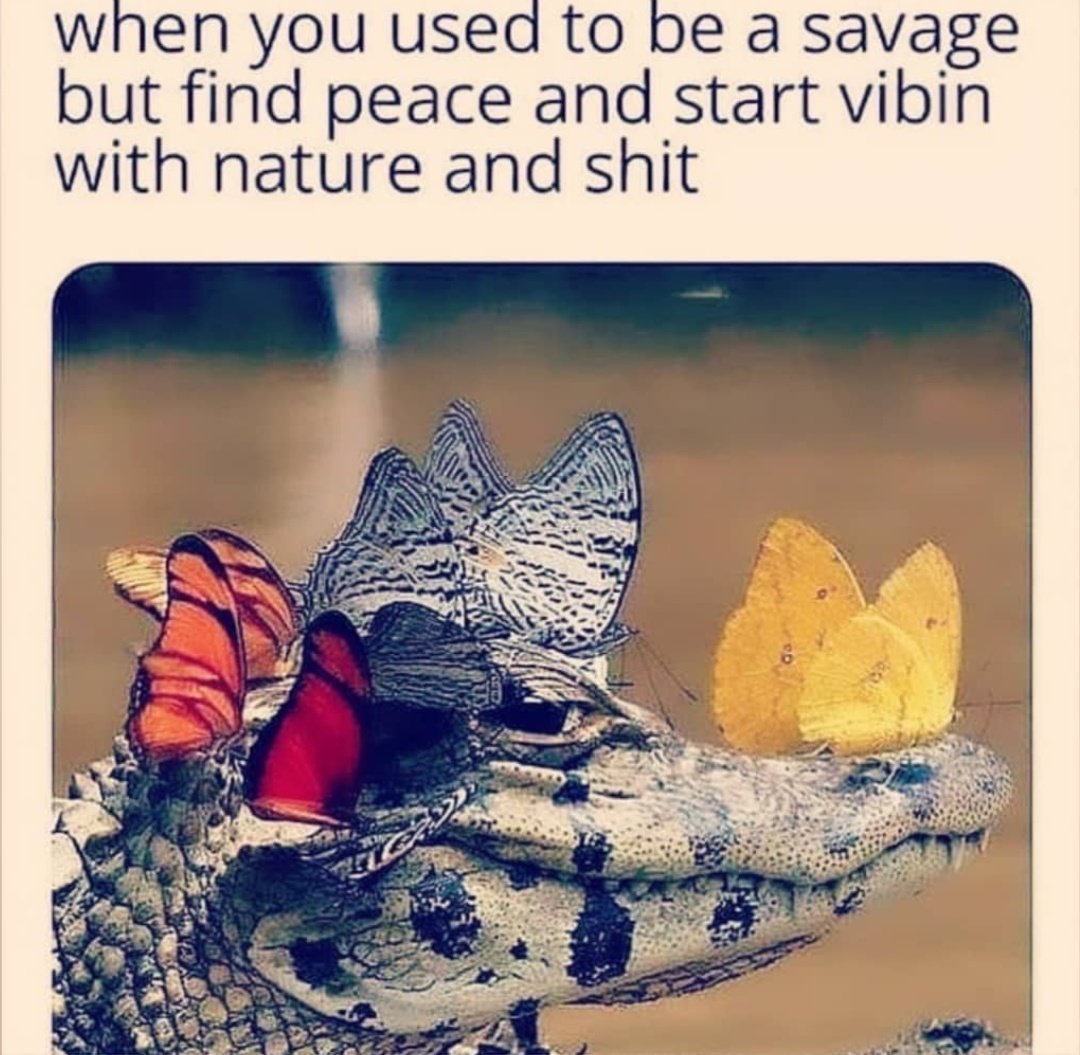stevan_ko's tweet image. When you used to be a #Savage 😎 and suddenly you find yourself appreciating nature for what it is 🙏🏻 #innerengineering #toolsfortransformation #naturelover