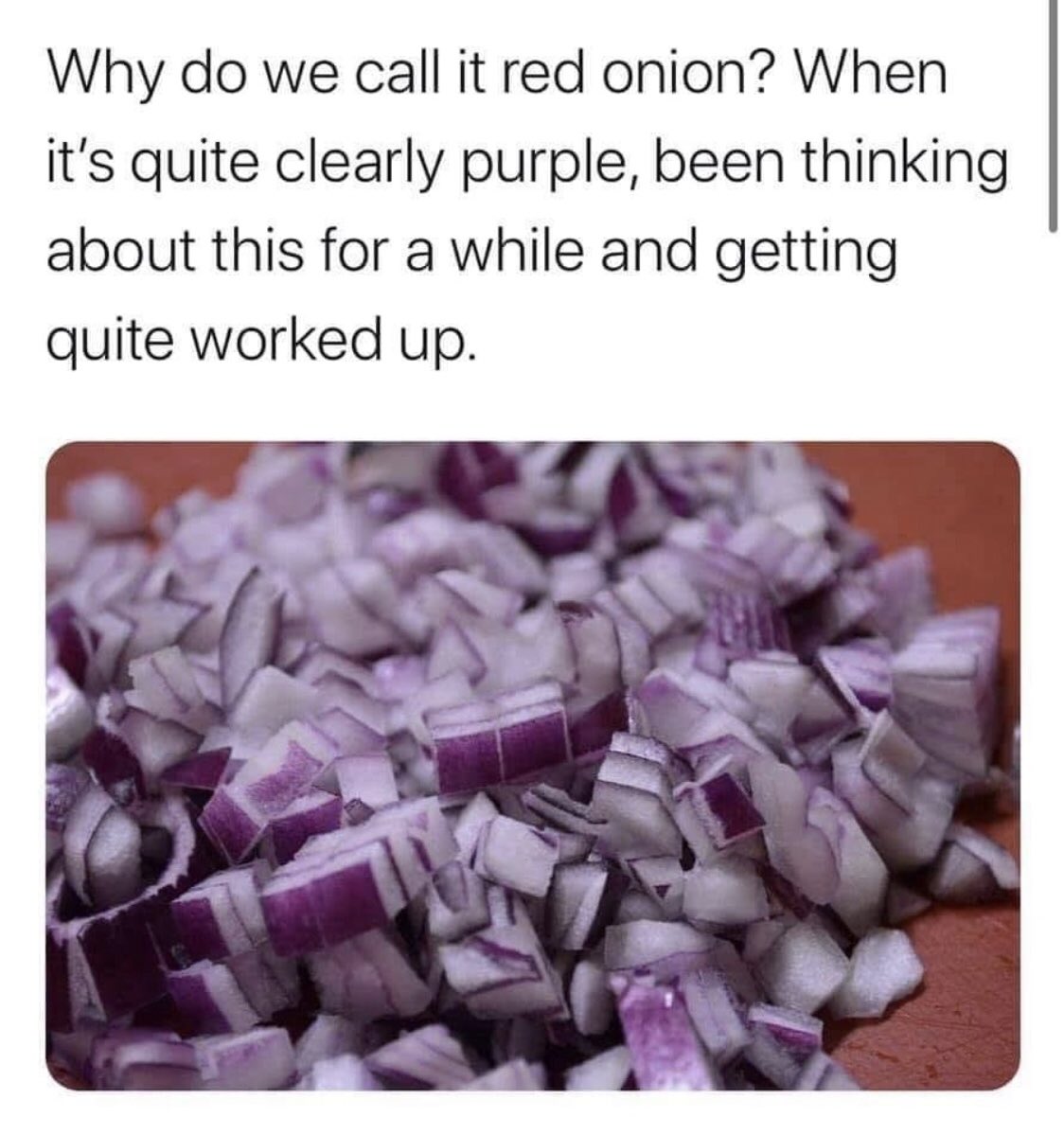 RudeBalloons's tweet photo. A question about #red #onion that will have you questioning life https://t.co/PxvH9XqzU4