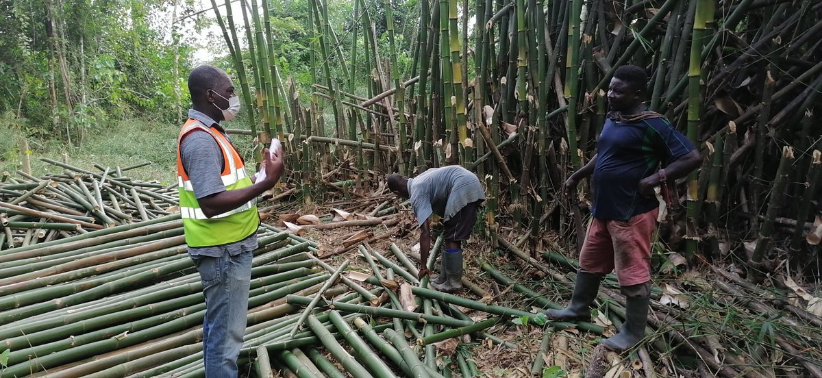 INBAR_WARO tweet media