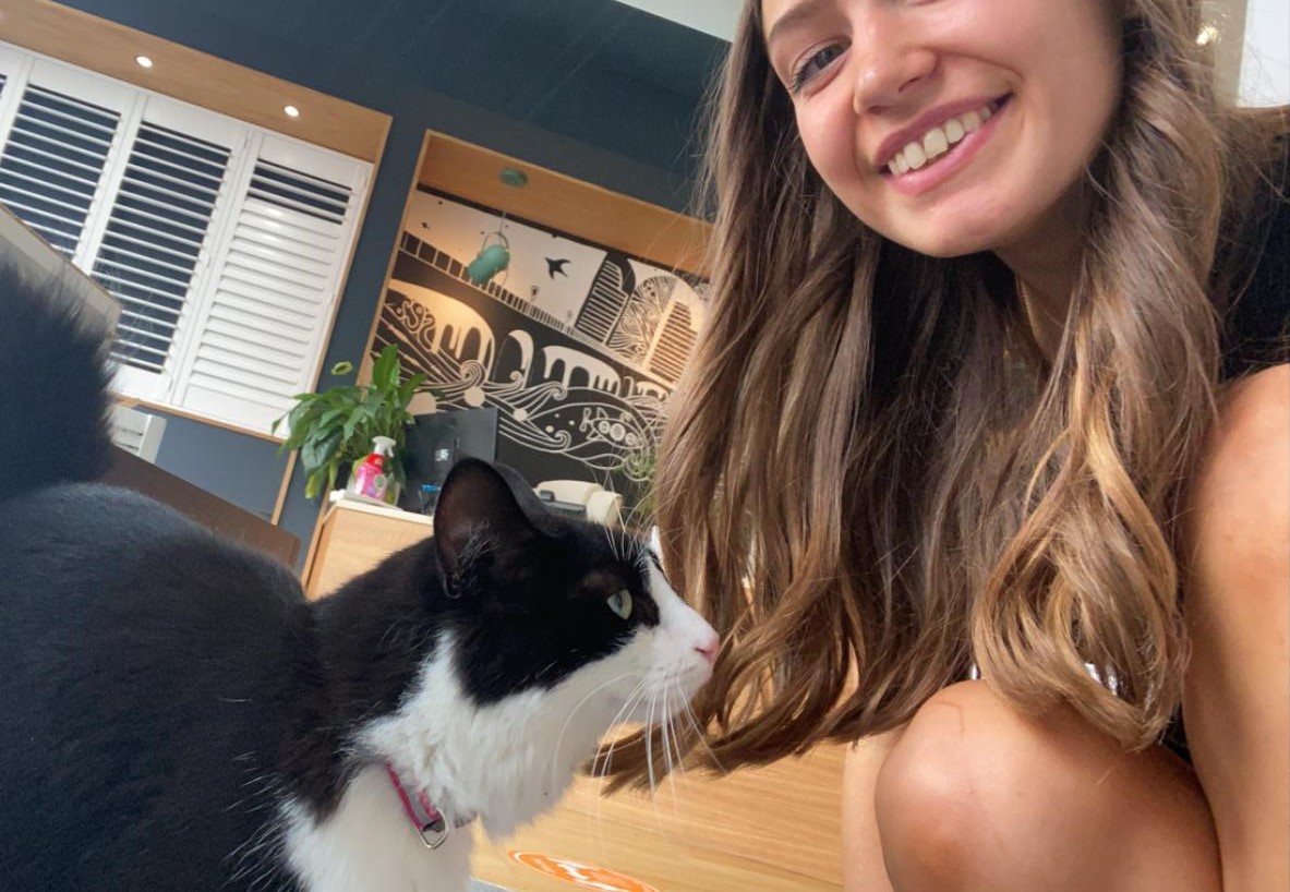 ‘Piglet’ visits our Dorset Showroom. Legendary since pinching an ostrich feather duster. Later his somewhat embarrassed owners returned his ‘prey’ :)

Shutters are safe for curious little paws. No tangled cords or hairy drapes! 
justshutters.co.uk
#worldcatday #shutters