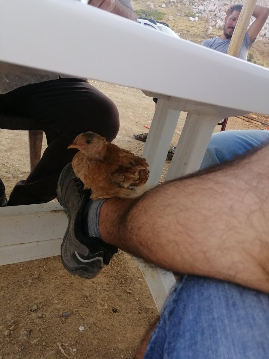 Ne zaman otursam gelir oturur.