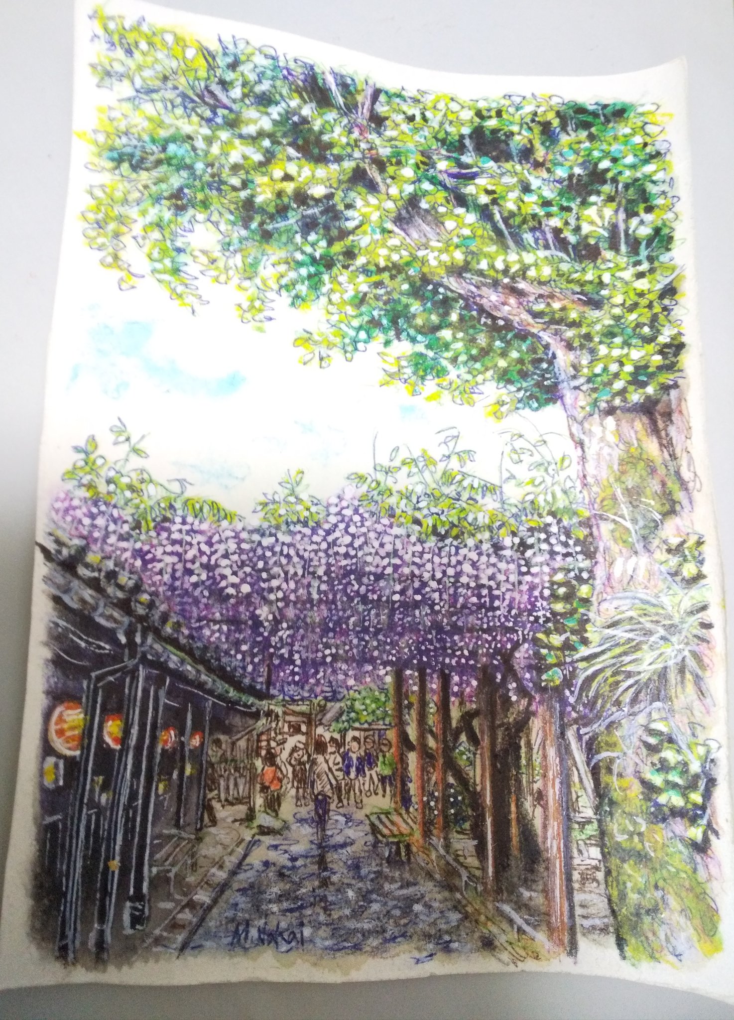 Twitter 上的 ねこい 元ギャラリーねこい 5月18日亀田イオンカルチャースクールで水彩色鉛筆塗り絵教室をします 本日のイラスト 花の日 なので Hoppo Bunka さんの藤棚と古代蓮 藤の描き方が掴めてきた気がするので嬉しいのです ヾ ﾉ