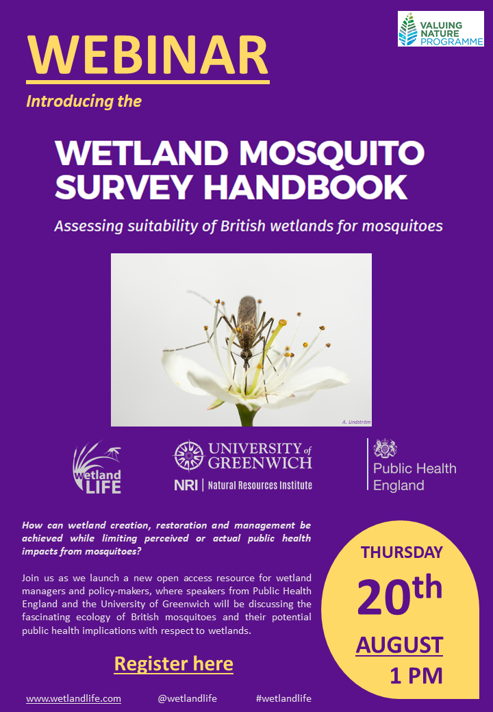 wetlandLIFE's tweet photo. Explore the fascinating world of British mosquitoes!

Free webinar Thursday 20th August 13:00, where Dr Jolyon Medlock Alex Vaux @PHE_uk @framaha &amp; @timacott1 will launch the Wetland Mosquito Survey Handbook!

REGISTER: https://t.co/w0IjcX7MD2

#wetlandlife #WorldMosquitoDay2020 https://t.co/t55Xv4hKIu