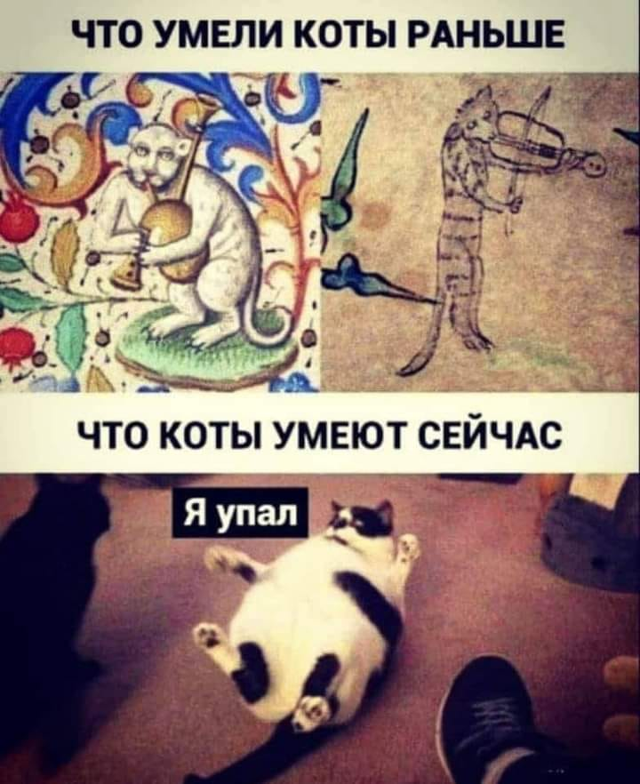 elena_p2017's tweet photo. https://t.co/GkaQwuBCXx