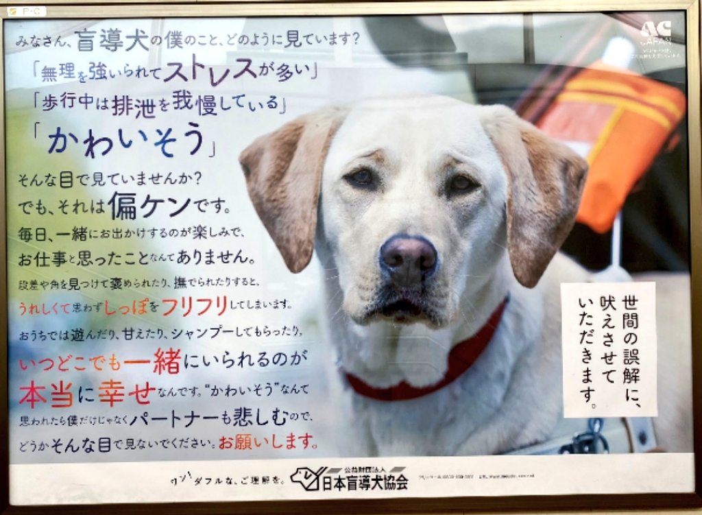 Usamimi これを犬に言わせる日本盲導犬協会 盲導犬は 多くの視覚障害者 が助けられていて なくてはならない大切な存在 感謝こそしても これを犬に言わせるポスターは共感出来ない 犬達が自分の意思で盲導犬をしてるとでも言うのか 協会がこれでは偏見 Usamimi これを犬に言わせる日本盲導犬協会 盲導犬は 多くの視覚障害者 が助けられていて なくてはならない大切な存在 感謝こそしても これを犬に言わせるポスターは共感出来ない 犬達が自分の意思で盲導犬をしてるとでも言うのか 協会がこれでは偏見