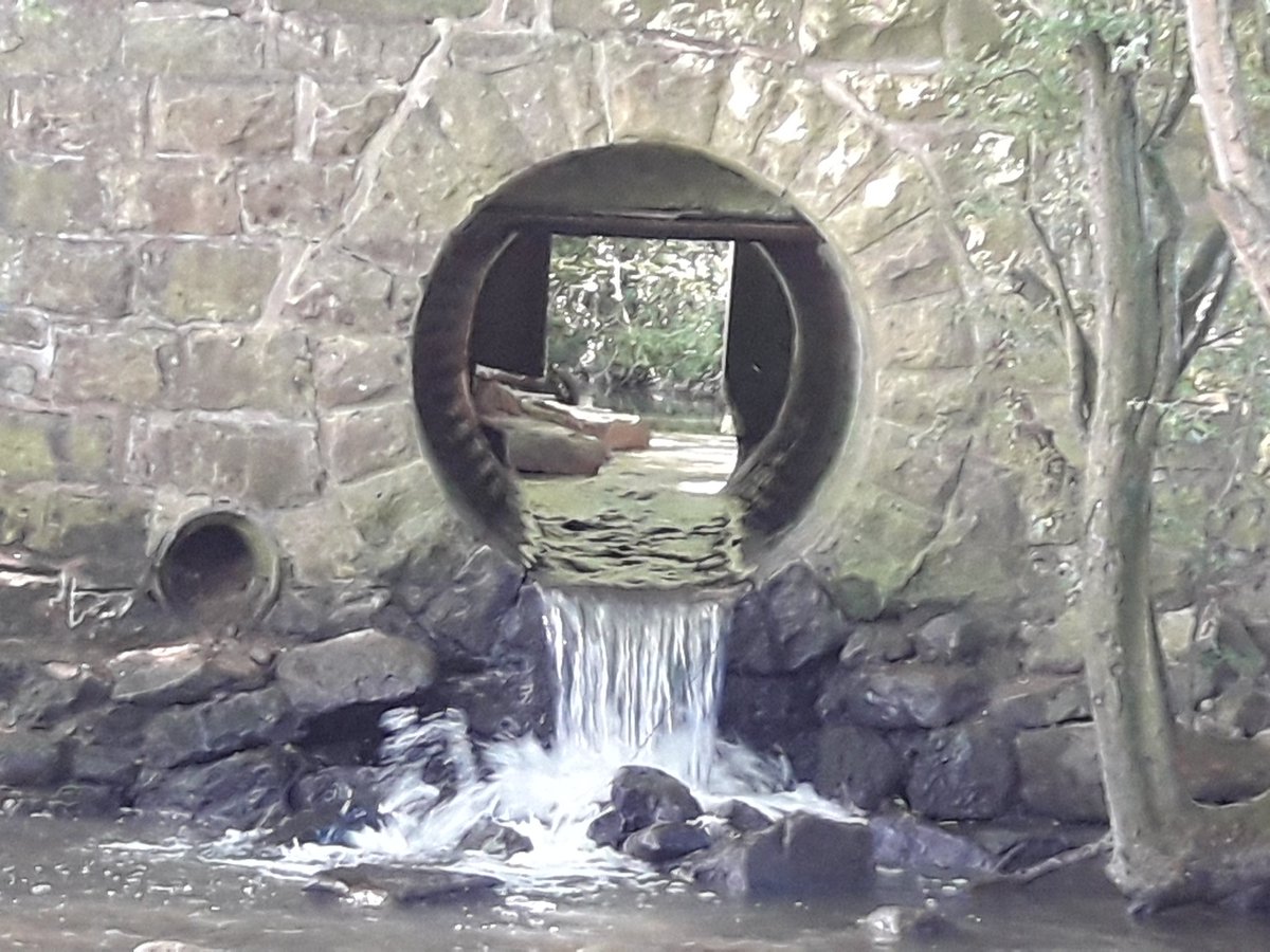 Not just our canals that have interesting structures. Heck out this masonry bridge over the Harthill feeder #ChesterfieldCanal