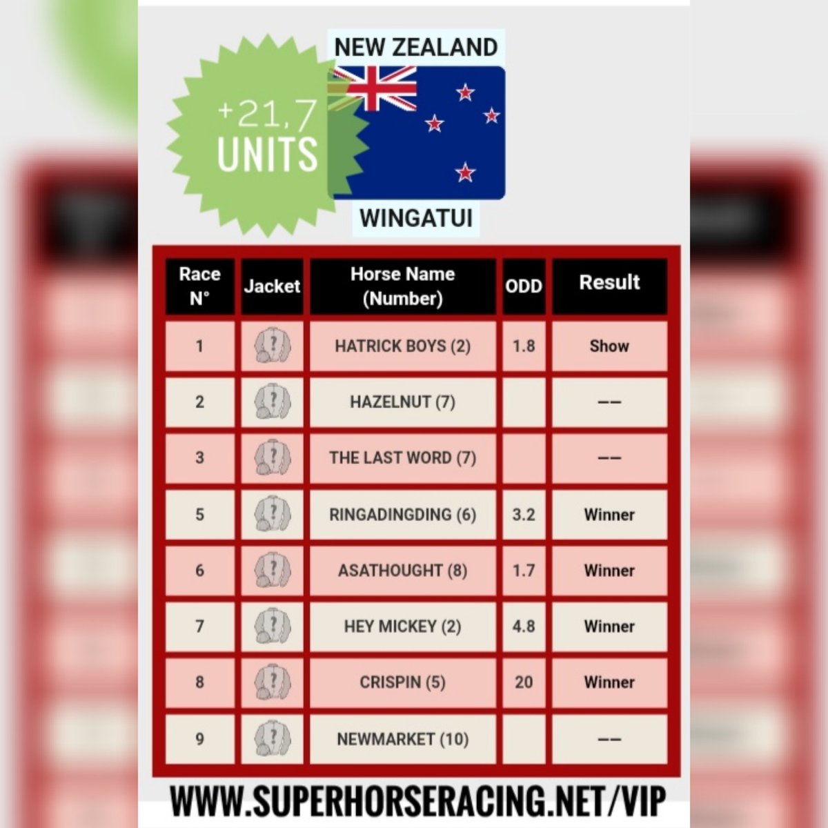Super Horse Racing Tips tweet media