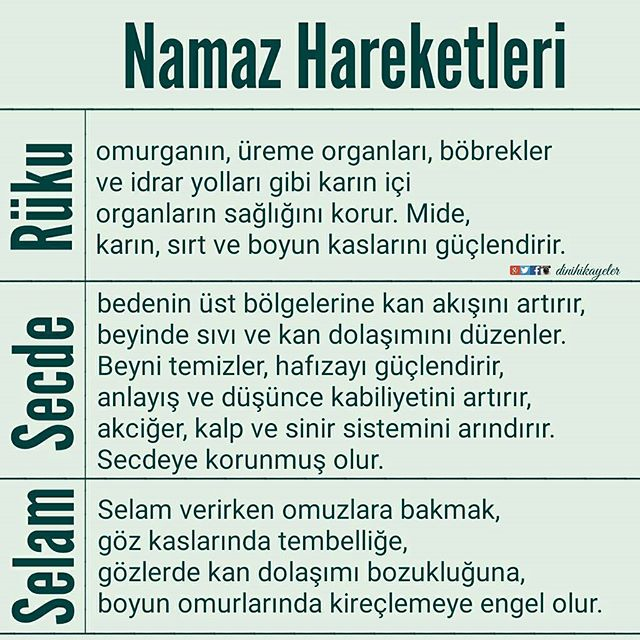 @vuslat_ali_07 @1453Erciyes @osmanliserpil @58Turkuaz @Nafiz_Aka_69_ @ihsanemirgazili @filinta_y @DenizZBarlas @DrEmrahdok @SukutuAlemm @__Snm_gulsen__ @ayseminna @bibulut_olsam @tomris_hatun34 @Esra__caa @MuratReis_1970 @__Tevazu__ @neslihanomrum @_Z_Altunelll @Hakgeldi34 @hasanelyase @Tek_Vatan12 @46C_Kaya46 @ademvarli52 @RTESAFIYE66 @ArzuSarp4 @alpcanitez hayrından sebeplenecegimiz nice cumalara.

küçük bir bilgi