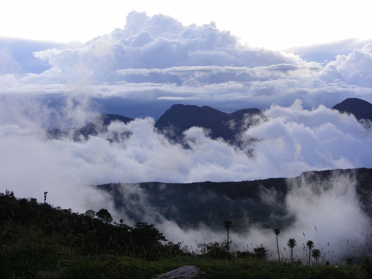 We hope that more people will embrace the manifold dimensions of isolation that may affect endemism, and that we inspire valuable comparisons between mountain islands vs true islands in the future.