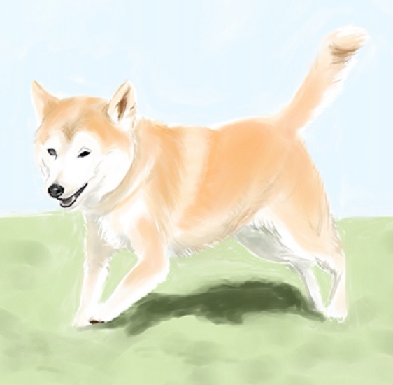 柴犬のイラストのtwitterイラスト検索結果 柴犬のイラストのtwitterイラスト検索結果