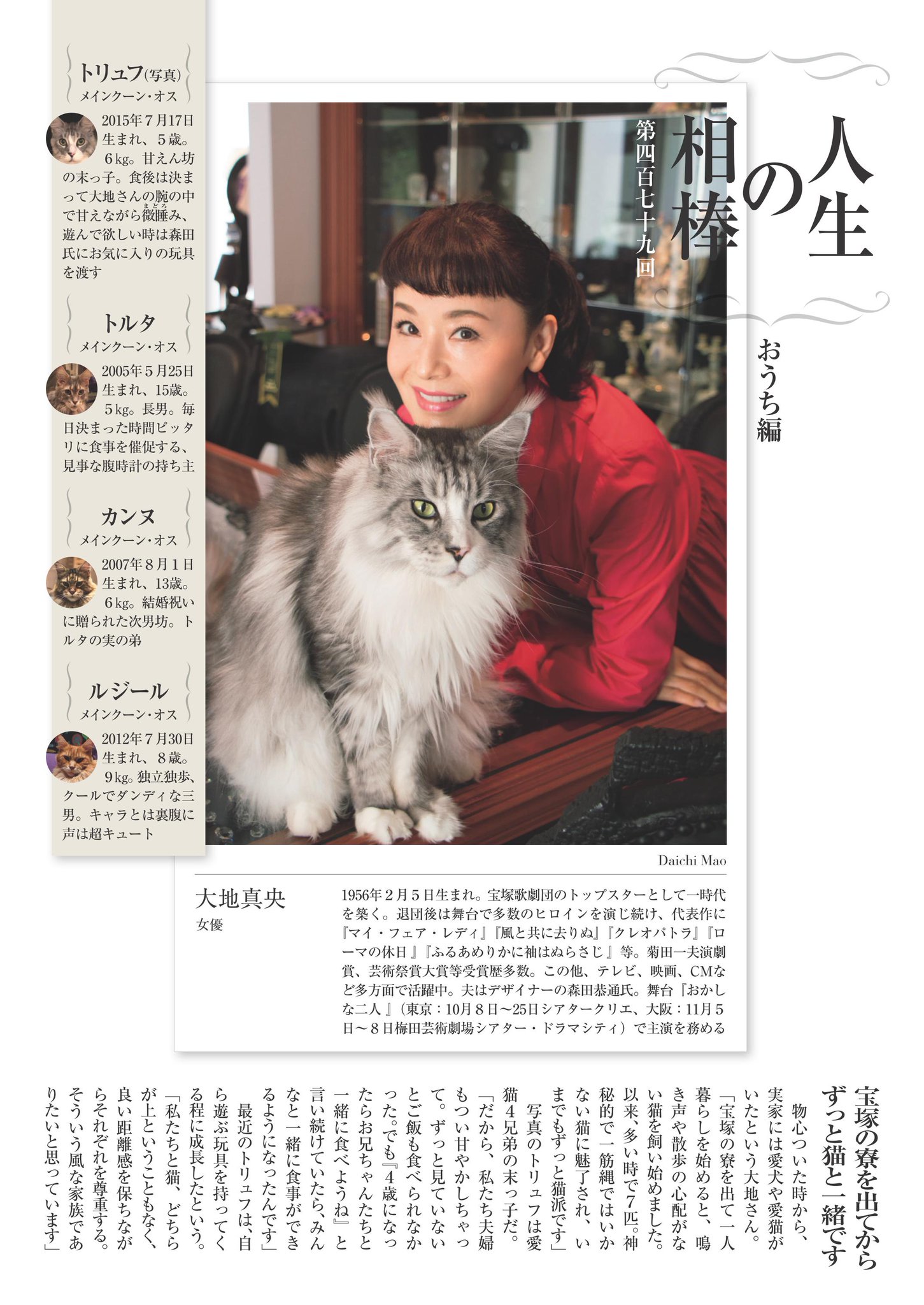 週刊現代 今号の連載 人生の相棒 おうち編は 女優 大地真央 さんと メインクーン のトリュフくんが登場 神秘的で一筋縄ではいかない猫に魅了され いまでもずっと猫派 という大地さん トリュフくんは トルタくん カンヌくん ルジールくん ４