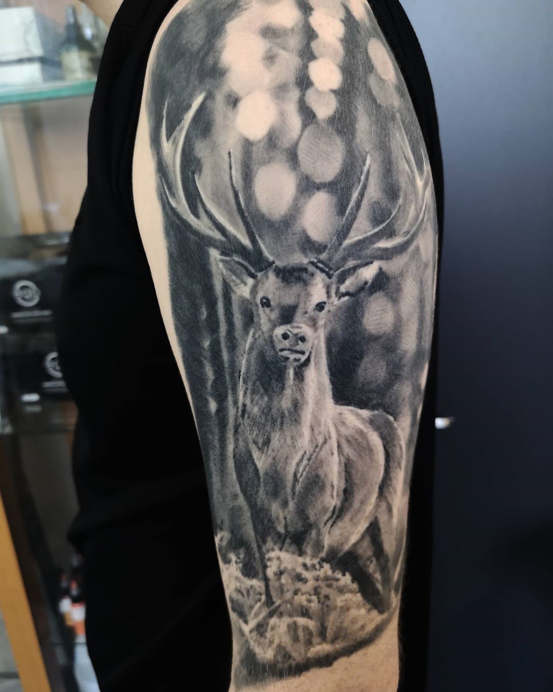 MagnumTattooSupplies on X: "Stunning deer tattoo from Dawid Dudek using  #magnumtattoosupplies 🦌 . . #tattoo #healedtattoo #stag #realismtattoo  #dundee #deertattoo #forest #bng #blackngrey #bngtattoo #tattooed #inkedup  . . https://t.co/iRitmPlbbr https ...