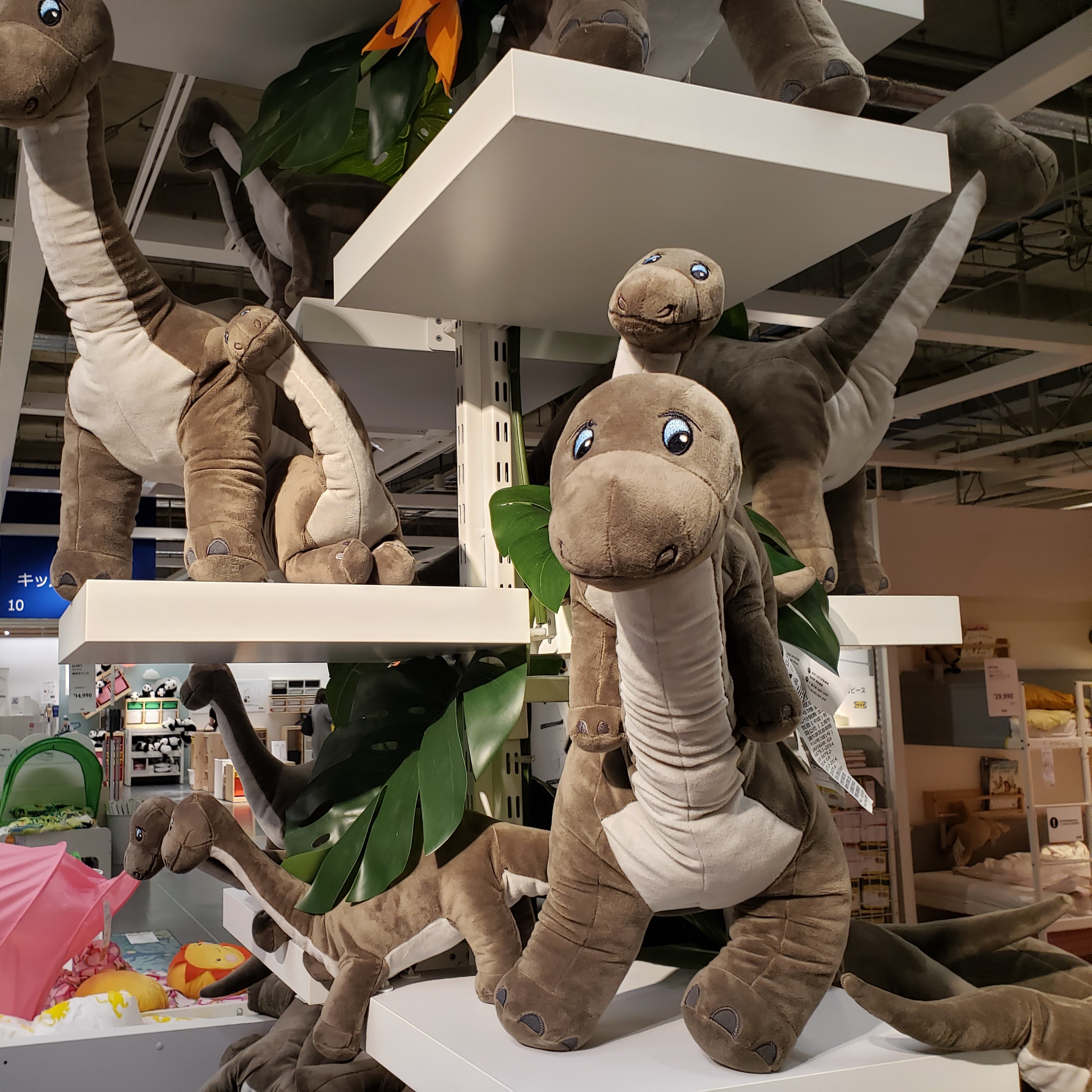 IKEA Tokyo-Bay​【公式】 on X: 
