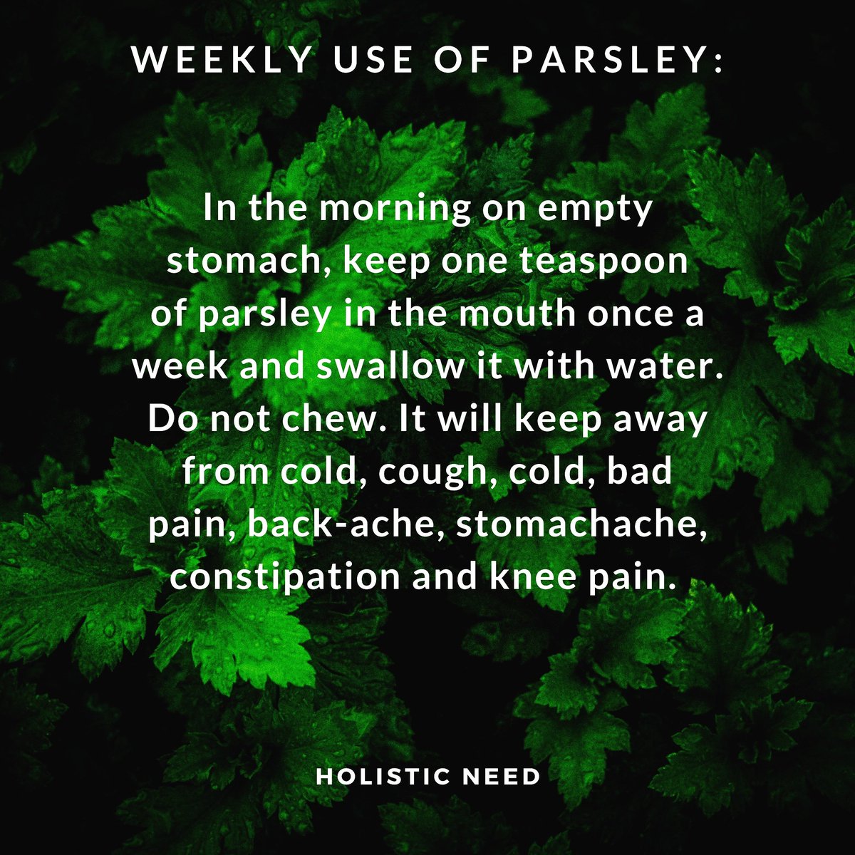 HolisticNeed's tweet photo. Children below the age of 10 years should take half a teaspoon of 2 grams and above 10 years, one teaspoon ie 5 grams.
#holisticneed #holistichealth #healthy #holisticapproach #parsley #benefits #nutritional #health https://t.co/9hLpuuEGH6