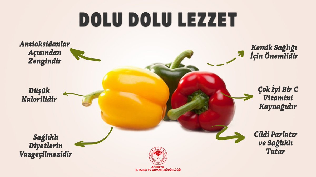 1 adet #DolmalıkBiber vücudun günlük #Cvitamini ihtiyacını karşılar. Düşük kalorilidir. Bağışıklığı güçlendirir. Cildi parlatır, #sağlıklı tutar. Sofraların favorisidir. 😋 #vitaminsizkalma #gıdanıkoru #israfetme #geleceğiçöpeatma