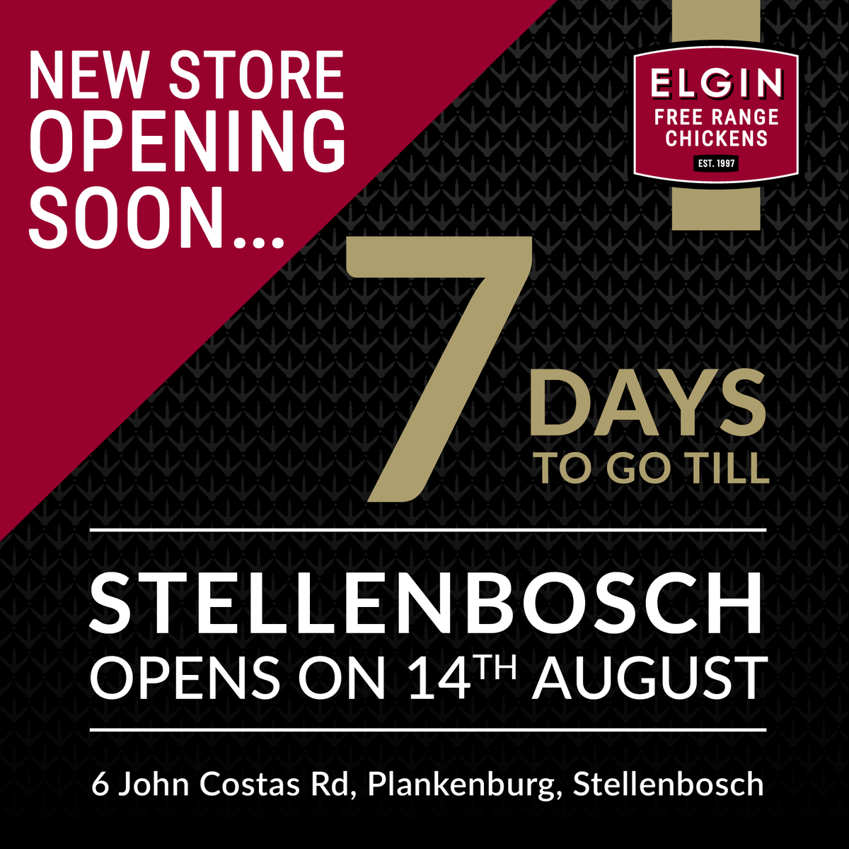 ElginTheChicken's tweet photo. The brand new Elgin Free Range Chickens factory store opens in just 7 days!
#EFRC #Stellenbosch #FactoryStore #CloserToYou #Chicken https://t.co/rGQ3xmxlnq