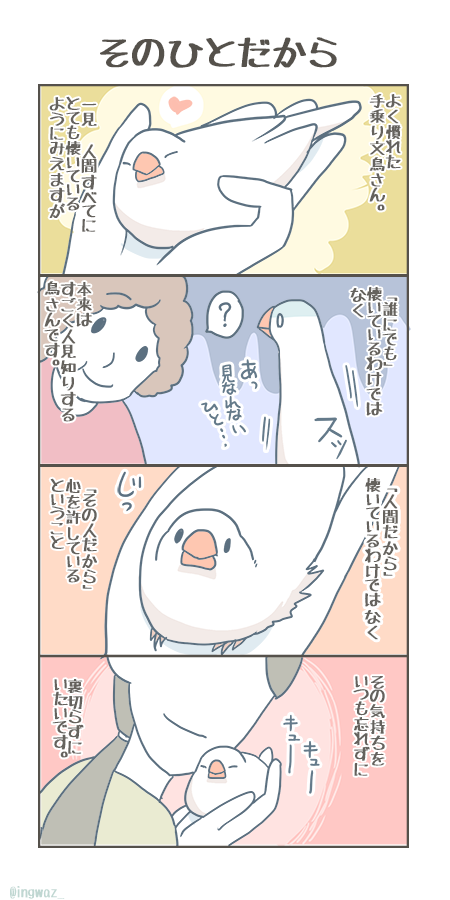 例外もありますが、文鳥さんはちゃんと人を見分けてくれています。

#Buncho #javasparrow #文鳥 