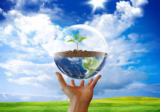 Polt Eco Group tweet media