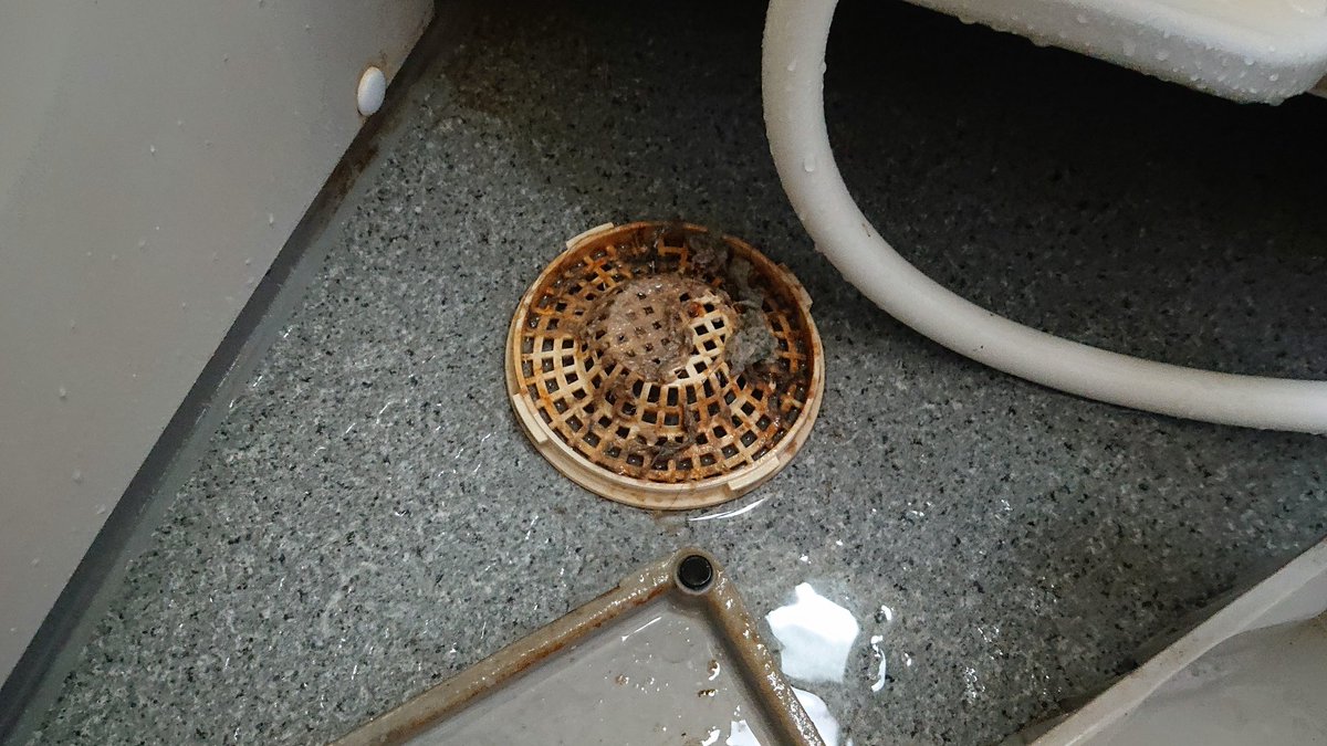 H2m お疲れ様です 本日はお風呂掃除にやってきました 長年お掃除をしていない排水溝などはこのようにヘドロ 化してしまい においや排水しづらくなってしまいます H2mで定期的にお掃除をして綺麗なお風呂にしませんか お電話お待ちしております お