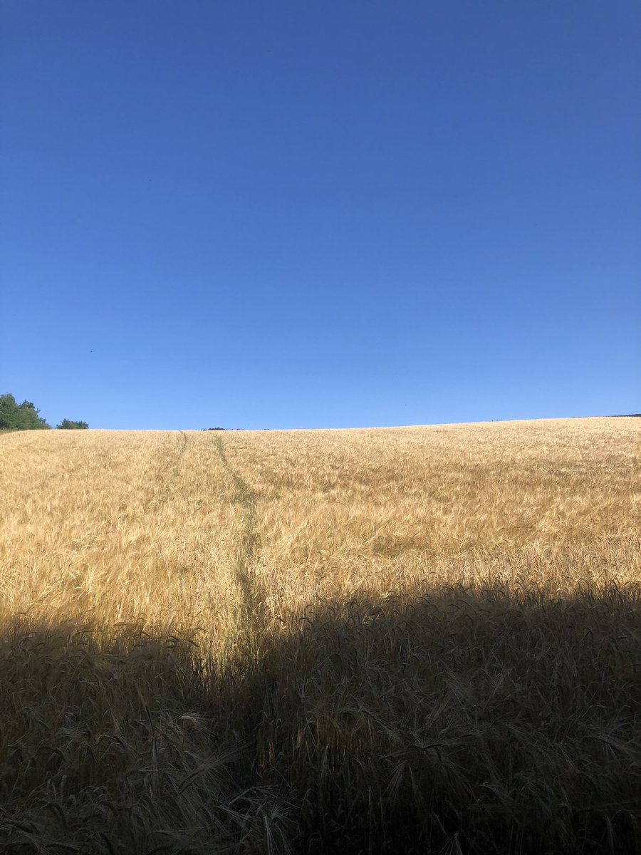 Jenny Scott tweet media