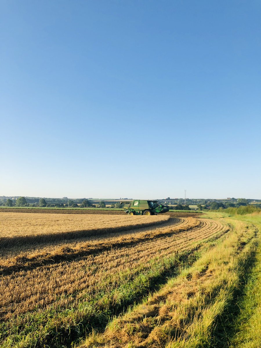 CJ_UK's tweet image. Friday morning run with @HellyJ44 &amp;amp; we got up close with Buffy the Buzzard this morning as she gave us a head height flyby 🦅 

She’s a beauty &amp;amp; very BIG 😮😬😳

#nature #6amrun #runners #trails