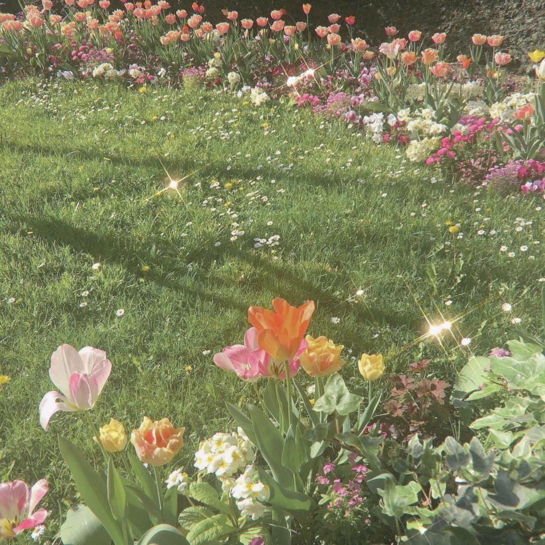poetiquefleur's tweet photo. https://t.co/RngtdON8Jv