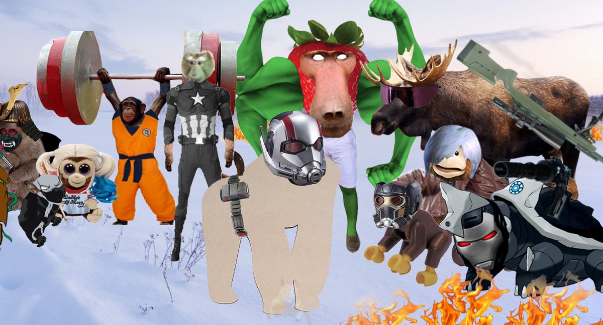 ape_wood's tweet image. Moose: Moose have idea.

ape: oh ya

Moose: ya