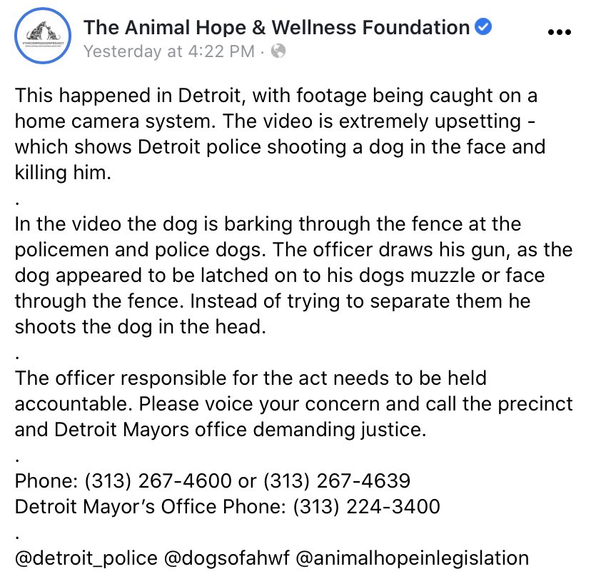 Fifty Shades Of Whey On Twitter Warning Graphic Police Officer In Detroit Shoots A Dog In Its Own Yard After Losing Control Of A K9